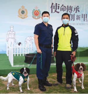 Casa, a Customs’ drugs detector dog and Jack, a search and rescue dog from FSD, gave birth to a litter of six puppies. Photo shows the puppies’ mother “Casa” (left), father “Jack” (right), and their handlers.