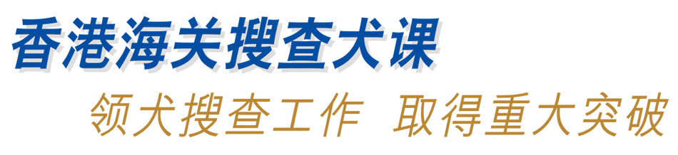 香港海关搜查犬课 领犬搜查工作 取得重大突破