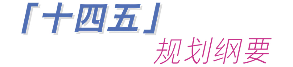 「十四五」 规划纲要