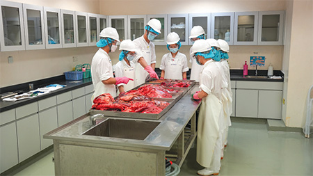 Trainees underwent hands-on training on meat inspection skills in Sheung Shui Slaughterhouse.