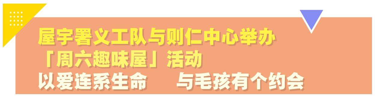 屋宇署義工隊與則仁中心舉辦「週六趣味屋」活動以愛連繫生命全與毛孩有個約會