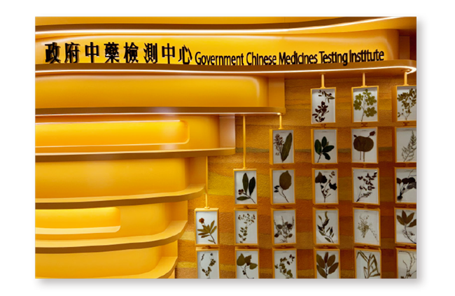 CMHL collect diverse specimens of medicinal materials, laying a solid foundation for the CM’s development. 