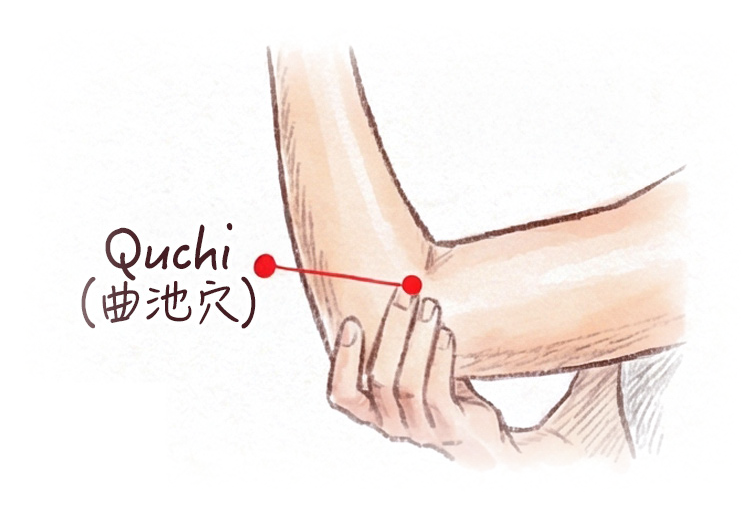 picture of Quchi acupoint