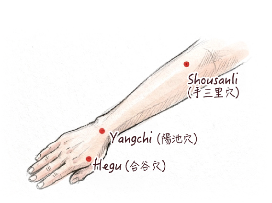 手三里穴圖解