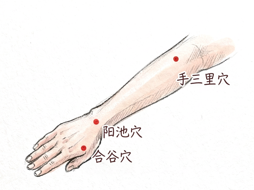 手三里穴圖解