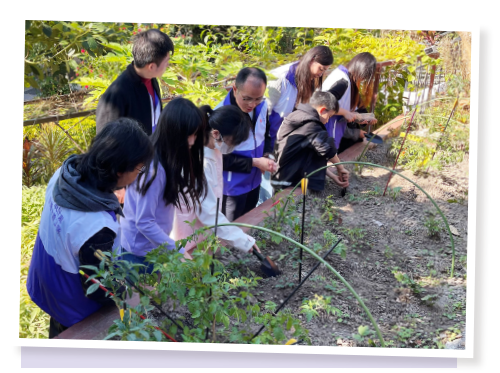 Children took part in watering, fertilising and pruning together with the volunteers to learn more about the concept of organic farming.