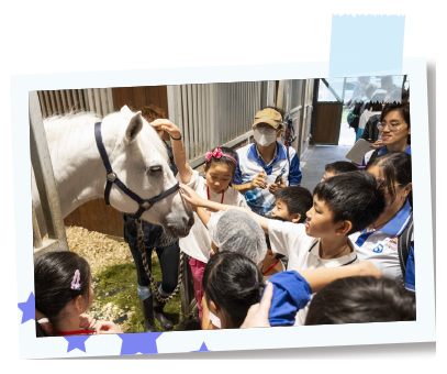 Children interacting with a horse.