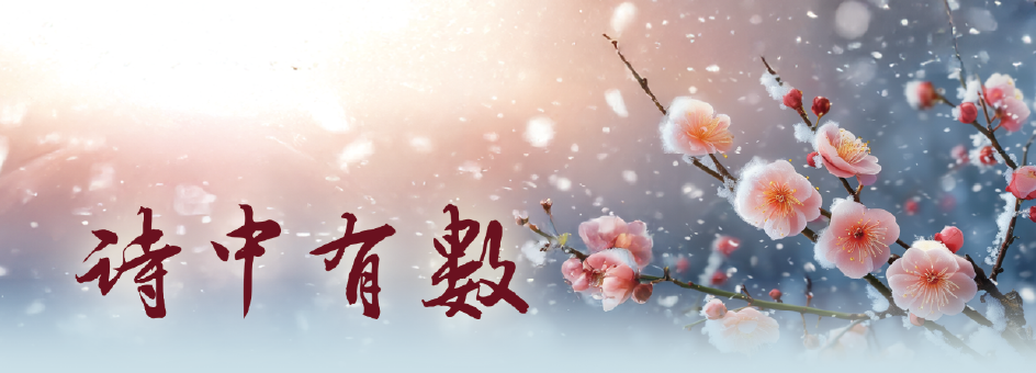 诗中有数 诗中有数