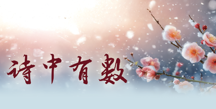 诗中有数 诗中有数