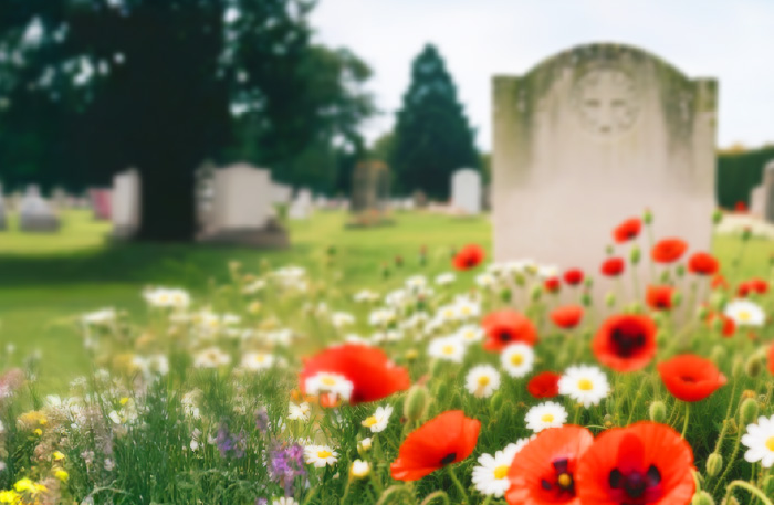 Not-a-Mindboggler
When Words Fail Not-a-Mindboggler
When Words Fail