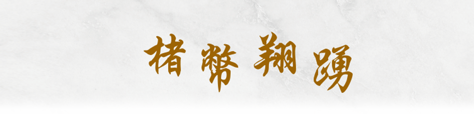 楮幣翔踴