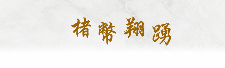 楮幣翔踴