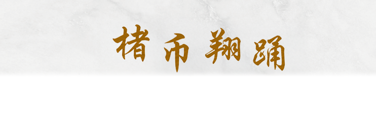 楮币翔踊