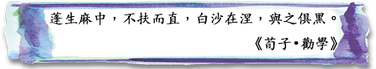 蓬生麻中,不扶而直,白沙在涅,與之俱黑。
《荀子 • 勸學》 蓬生麻中,不扶而直,白沙在涅,與之俱黑。
《荀子 • 勸學》