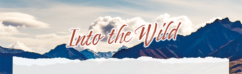 Into the Wild Into the Wild