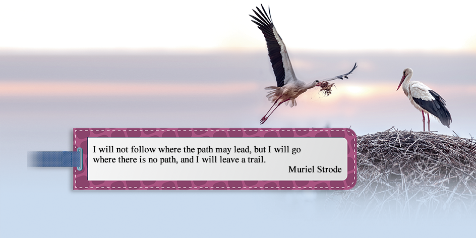 I will not follow where the path may lead, but I will go 
where there is no path, and I will leave a trail.
Muriel Strode