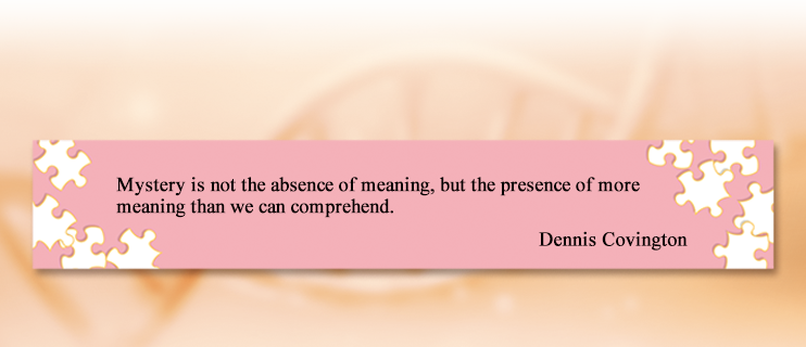 Mystery is not the absence of meaning, but the presence of more meaning than we can comprehend.
Dennis Covington