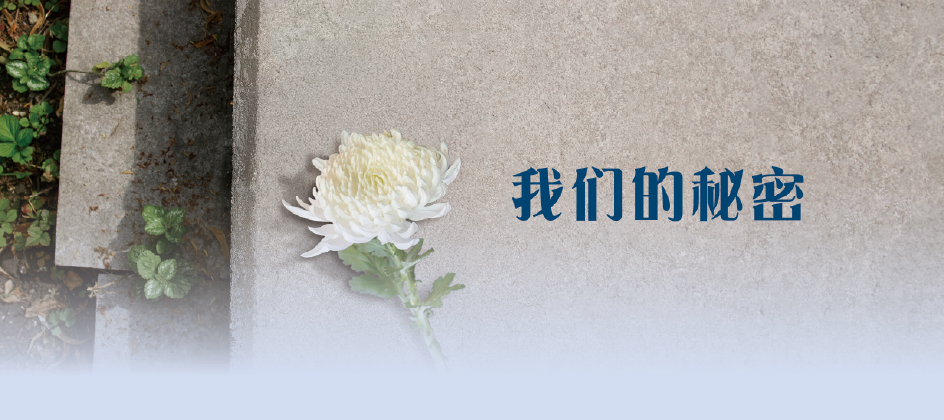 我们的秘密 我们的秘密