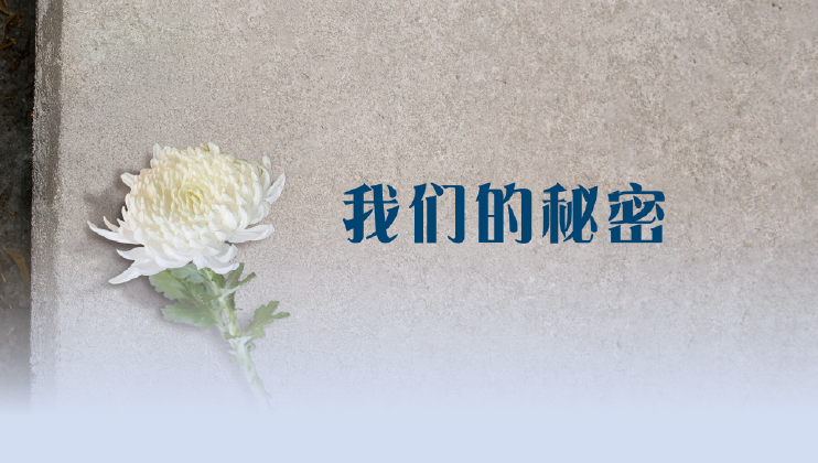 我们的秘密 我们的秘密